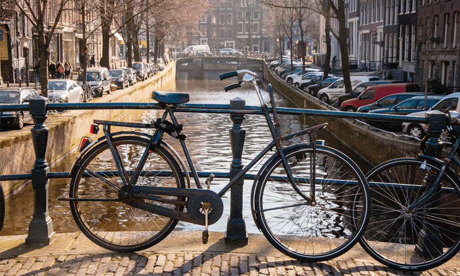 Free Parking in Amsterdam park and bike
